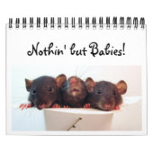 Nichts aber Babys! Kalender (Titelbild)