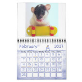 Nichts aber Babys! Kalender (Feb 2027)