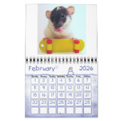 Nichts aber Babys! Kalender (Feb 2026)