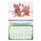 Nichts aber Babys! Kalender (Mär 2026)