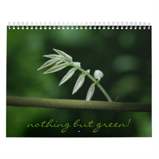 nichts aber Grün! Kalender (Titelbild)