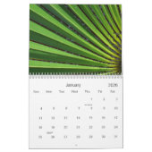 nichts aber Grün! Kalender (Jan 2026)