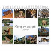 Nichts aber Leoparden - Kalender 2012 (Titelbild)