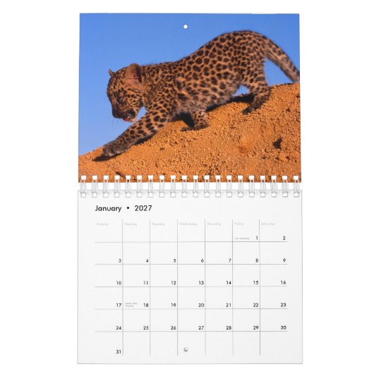 Nichts aber Leoparden - Kalender 2012 (Jan 2027)