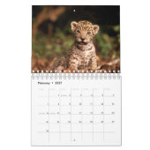 Nichts aber Leoparden - Kalender 2012 (Feb 2027)