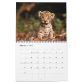 Nichts aber Leoparden - Kalender 2013 (Feb 2027)
