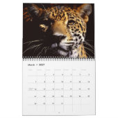 Nichts aber Leoparden - Kalender 2013 (Mär 2027)