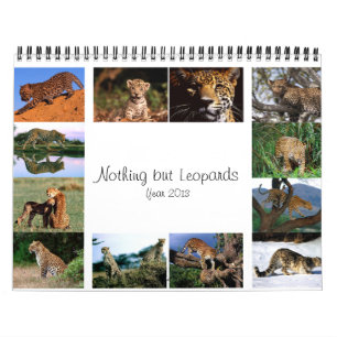 Nichts aber Leoparden - Kalender 2013
