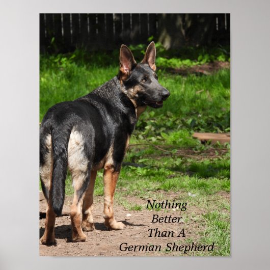 Nichts Besseres als ein deutscher Hirte Poster (Vorne)