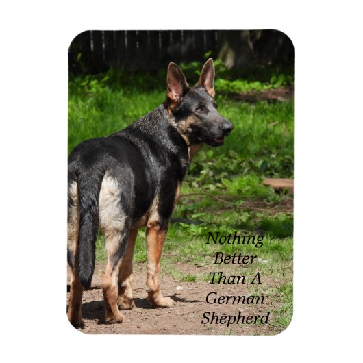 Nichts Besseres als ein deutscher Schäferhund Magnet (Vertikal)