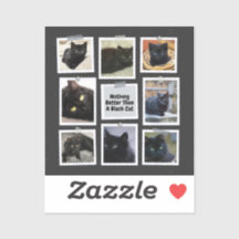 Nichts Besseres als eine schwarze Katze