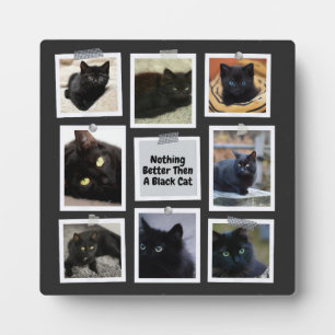 Nichts Besseres als eine schwarze Katze Fotoplatte