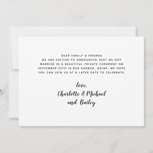 Nichts Extravagant, nur Liebe und eine Hundehe Ankündigung (Rückseite)