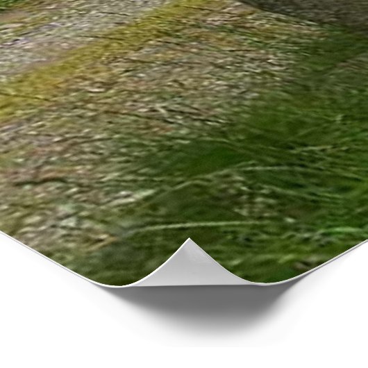 Nichts Gold Bleibe Poster 2 (Ecke)