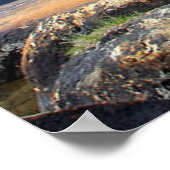 Nichts Gold Bleibe Poster 5 (Ecke)