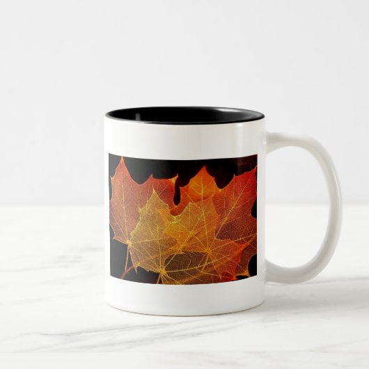 Nichts Gold kann bleibe Zweifarbige Tasse (Rechts)