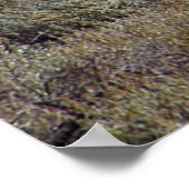 Nichts Gold kann Poster Bleibe 7 (Ecke)