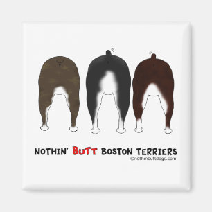 Nichts Hintern-Boston-Terrier Magnet