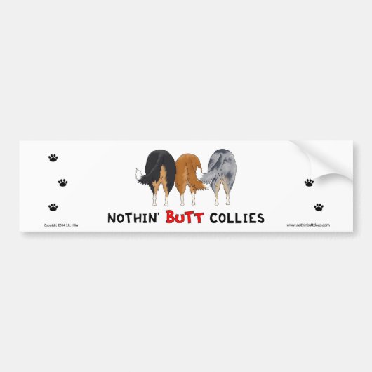 Nichts Hintern-Collies-Autoaufkleber Autoaufkleber (Vorne)