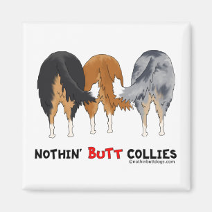 Nichts Hintern-Collies Magnet