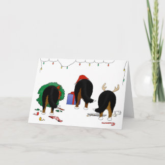 Nichts Hintern ein Berner Weihnachten