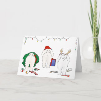 Nichts Hintern ein Bichon Weihnachten