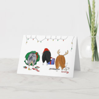 Nichts Hintern ein Sheltie Weihnachten