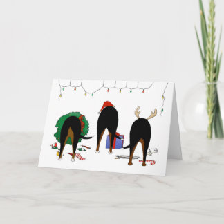 Nichts Hintern ein Swissie Weihnachten