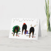 Nichts Hintern ein Swissie Weihnachten (Vorderseite)