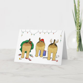Nichts Hintern eine Airedale-Weihnachtsgruß-Karte Feiertagskarte
