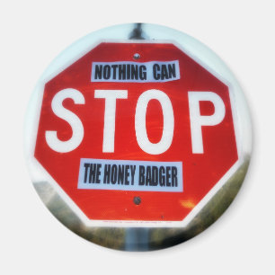 Nichts kann den Honey Badger stoppen Magnet