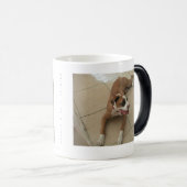 Nichts mögen eine Schwester, einen PU und ein Verwandlungstasse (VorderseiteRechts)