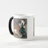 Nichts mögen eine Schwester, einen PU und ein Verwandlungstasse (Vorderseite Links)