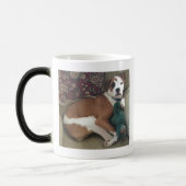 Nichts mögen eine Schwester, einen PU und ein Verwandlungstasse (Links)