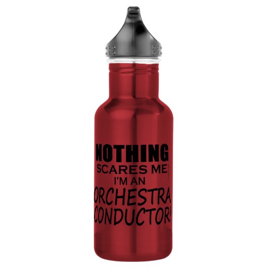 Nichts stört mich Orchesterdirigent Edelstahlflasche (Rechts)
