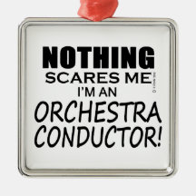 Nichts stört mich Orchesterdirigent