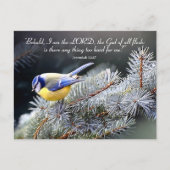 Nichts zu hart für den Herrn Postkarte (Vorderseite)