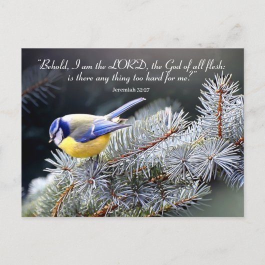 Nichts zu hart für den Herrn Postkarte (Vorderseite)