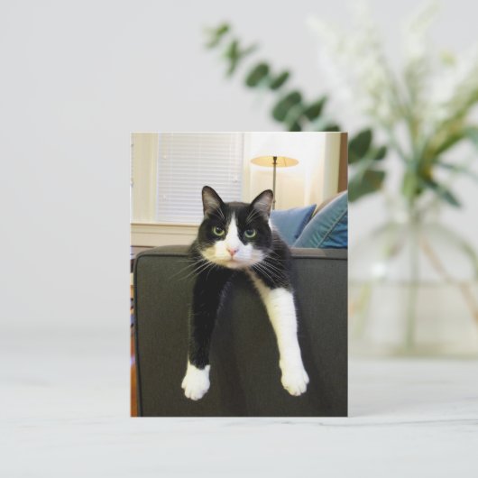 Nichts zu tun postkarte (Stehend Vorderseite)