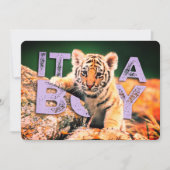 Nick-David-Baby - Tiger-Duschen-Einladung Einladung (Vorderseite)
