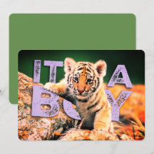 Nick-David-Baby - Tiger-Duschen-Einladung