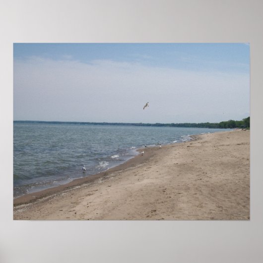 Nickel Plate Beach Huron, Ohio Poster (Vorne)