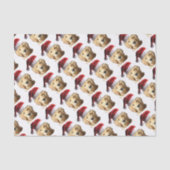 NICKEL-WITH-A-HAT-3 SEIDENPAPIER (Vorderseite)