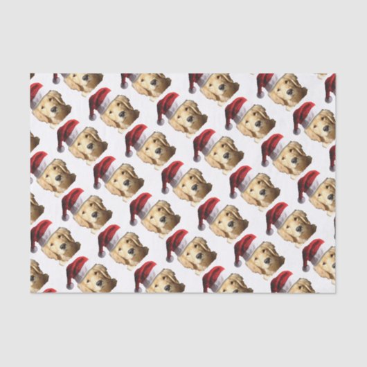 NICKEL-WITH-A-HAT-3 SEIDENPAPIER (Vorderseite)