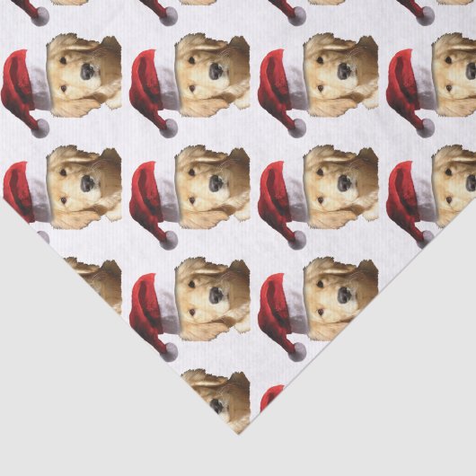 NICKEL-WITH-A-HAT-3 SEIDENPAPIER (Ausschnitt)