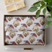 NICKEL-WITH-A-HAT-3 SEIDENPAPIER (Geschenk)