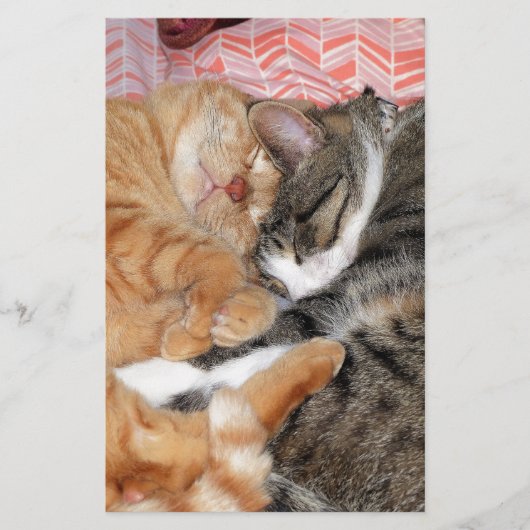 Nickerchen Buddies Briefpapier (Vorderseite)