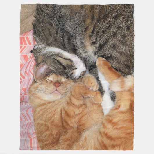 Nickerchen Buddies Fleecedecke (Vorderseite)