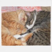 Nickerchen Buddies Fleecedecke (Vorderseite (Horizontal))