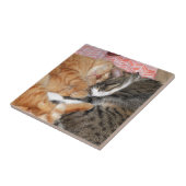 Nickerchen Buddies Fliese (Seite)